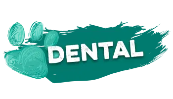 Dingo Dog Bones and Treats