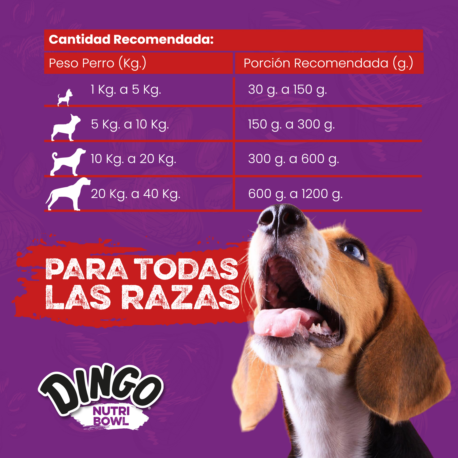 Para Todas las Razas
