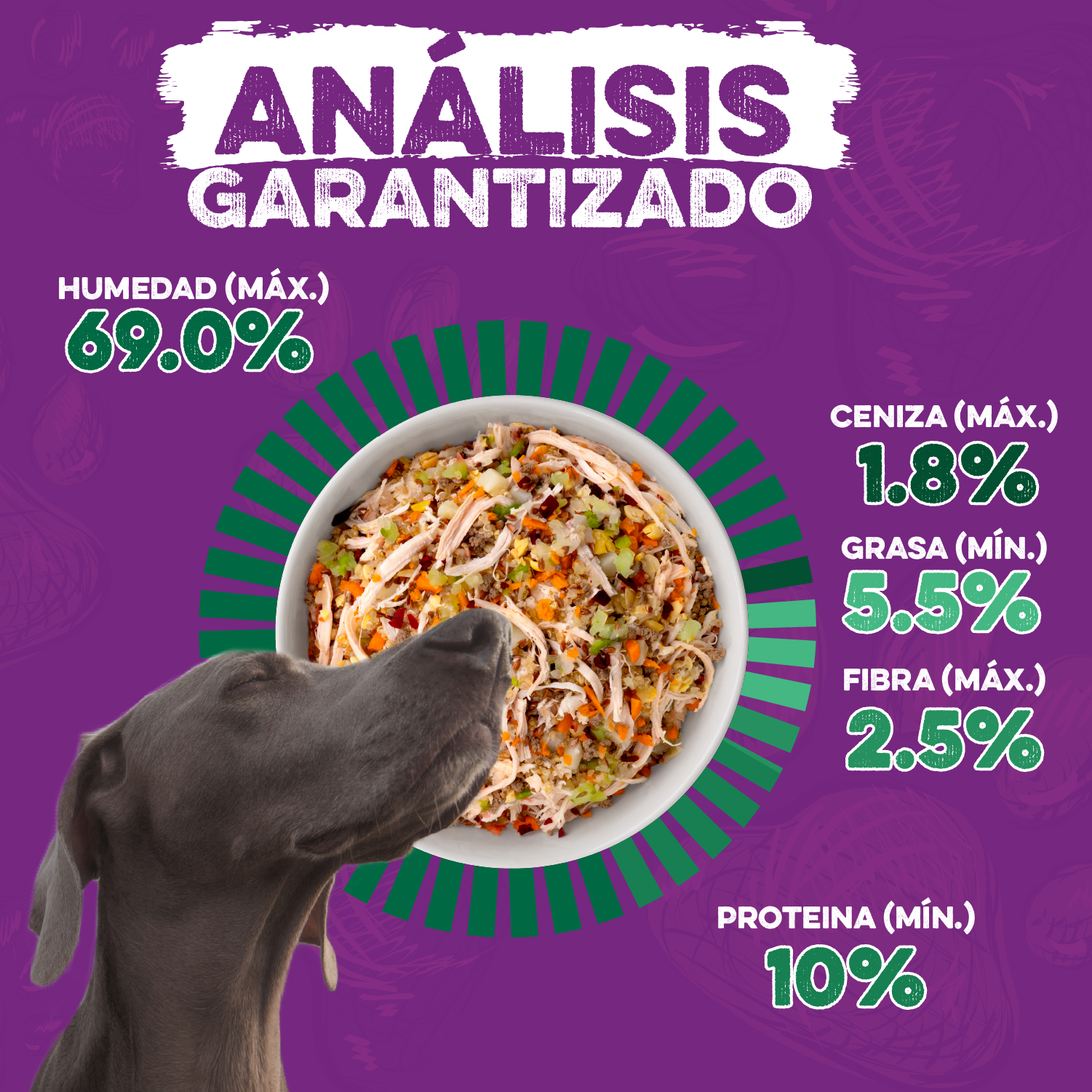 Analisis Garantizado