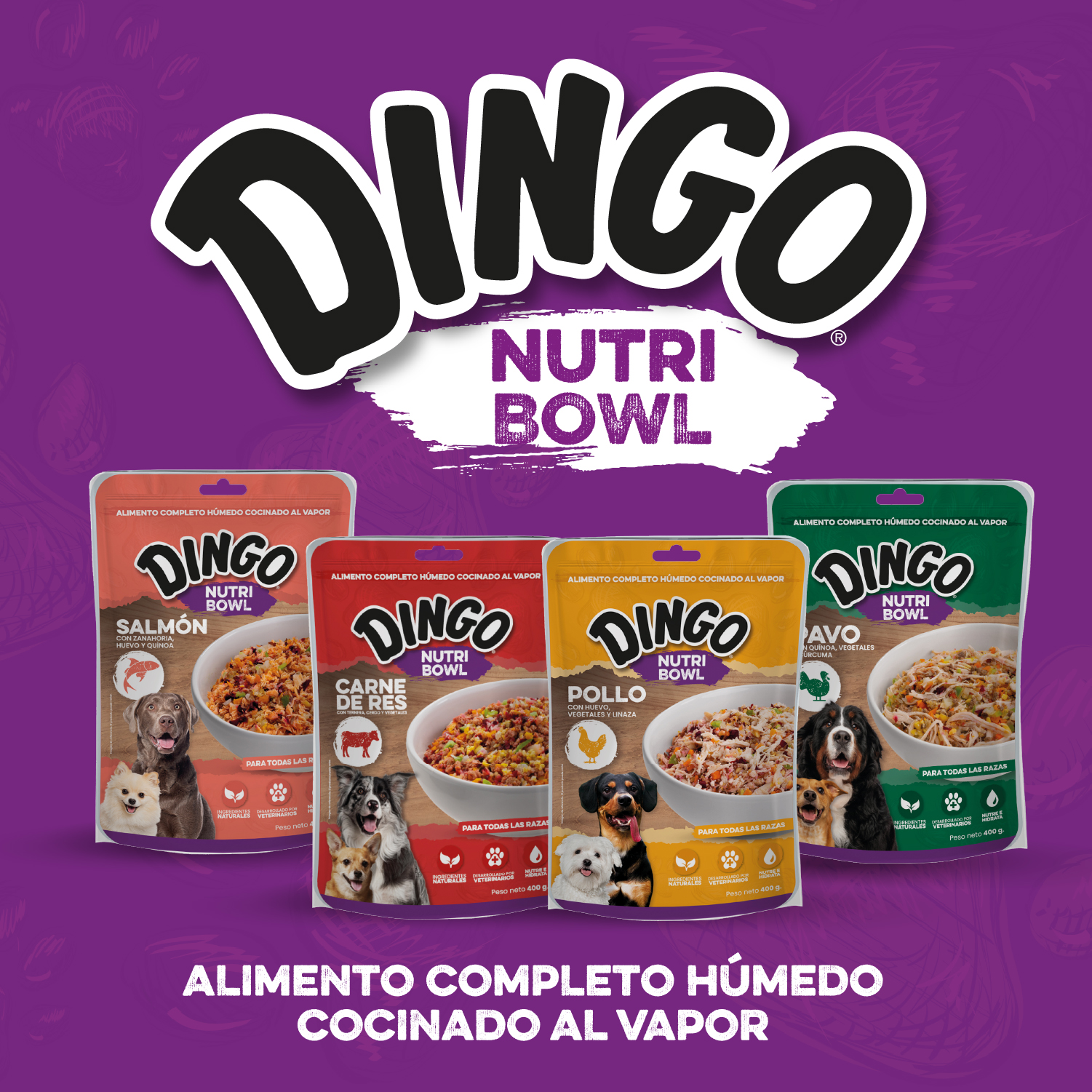 Dingo Nutri Bowl