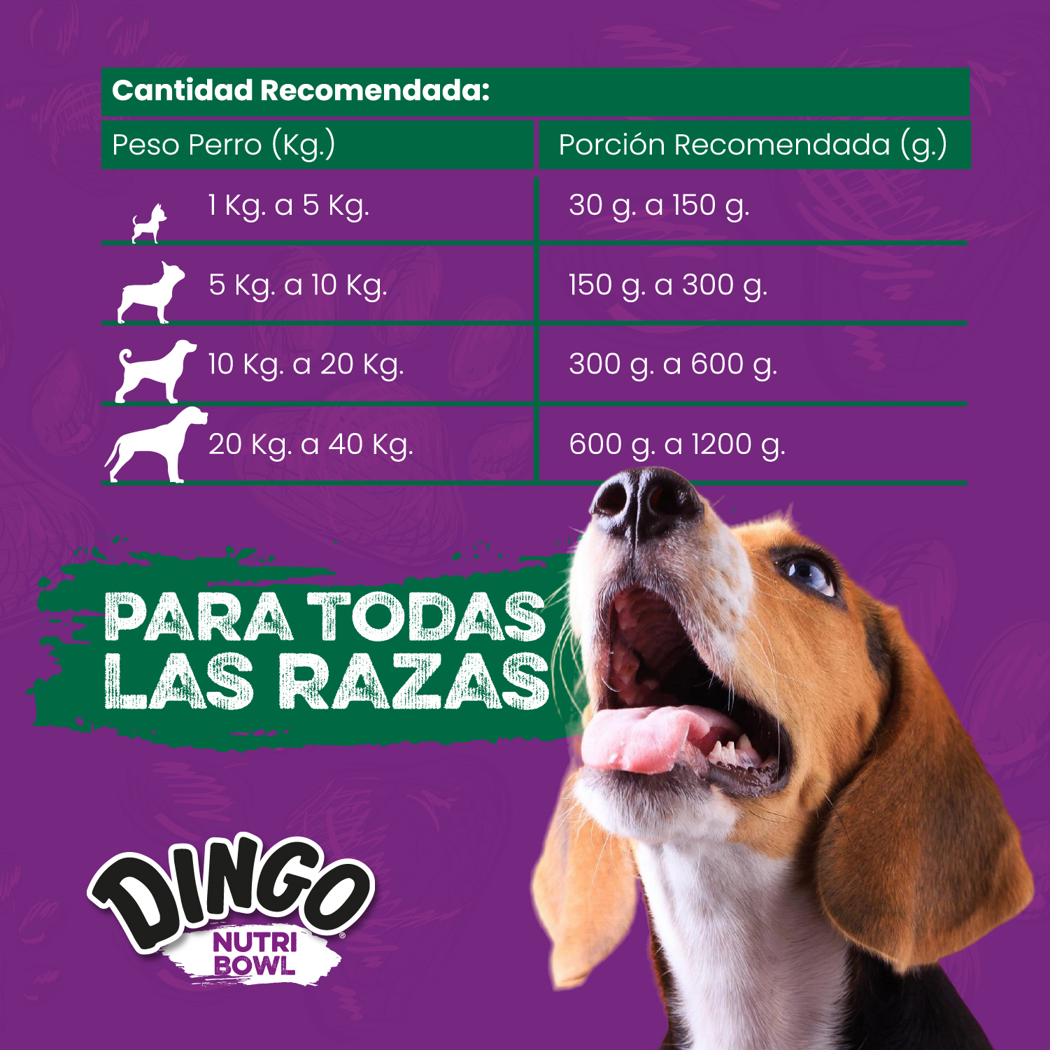 Para Toda Las Razas
