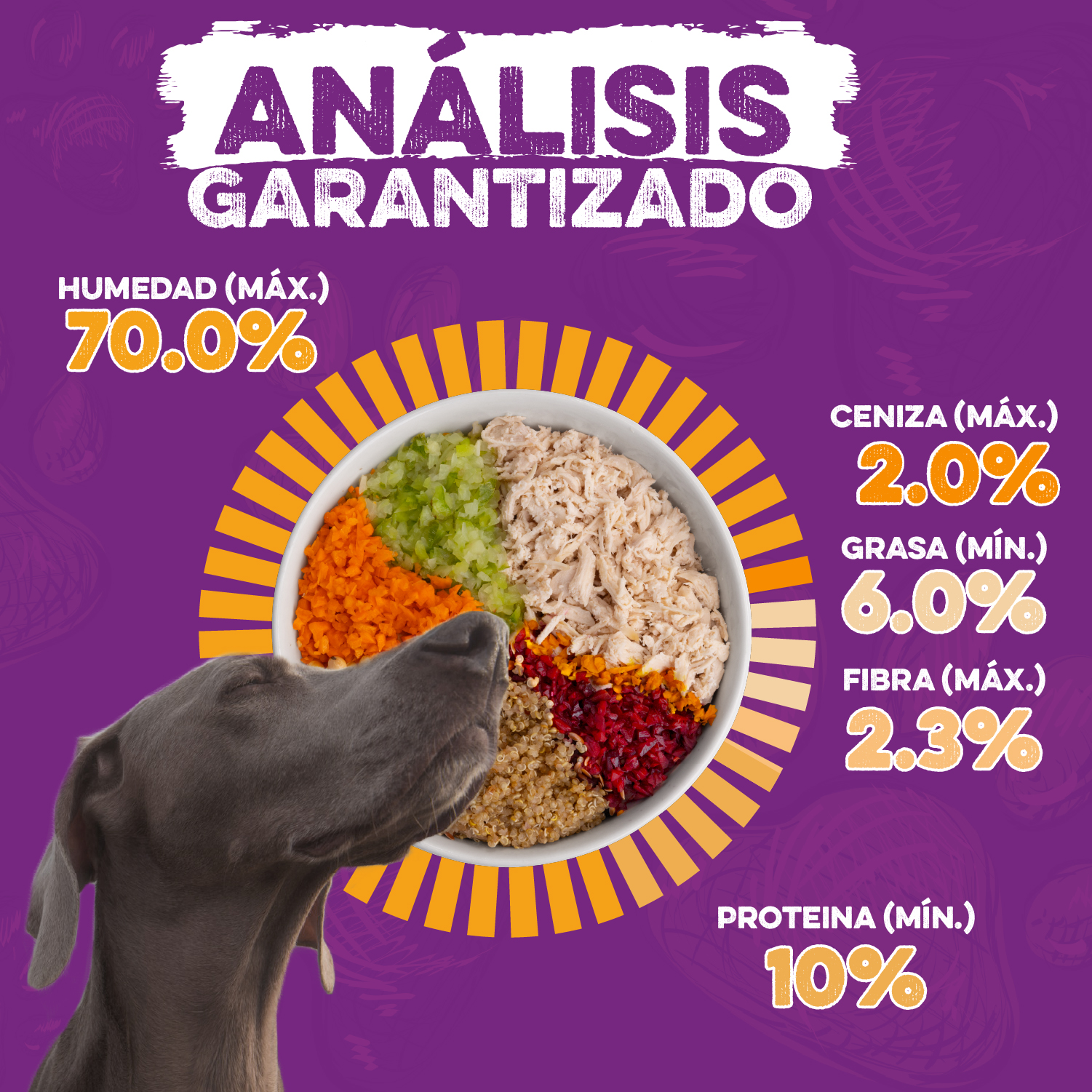 Analisis Garntizado