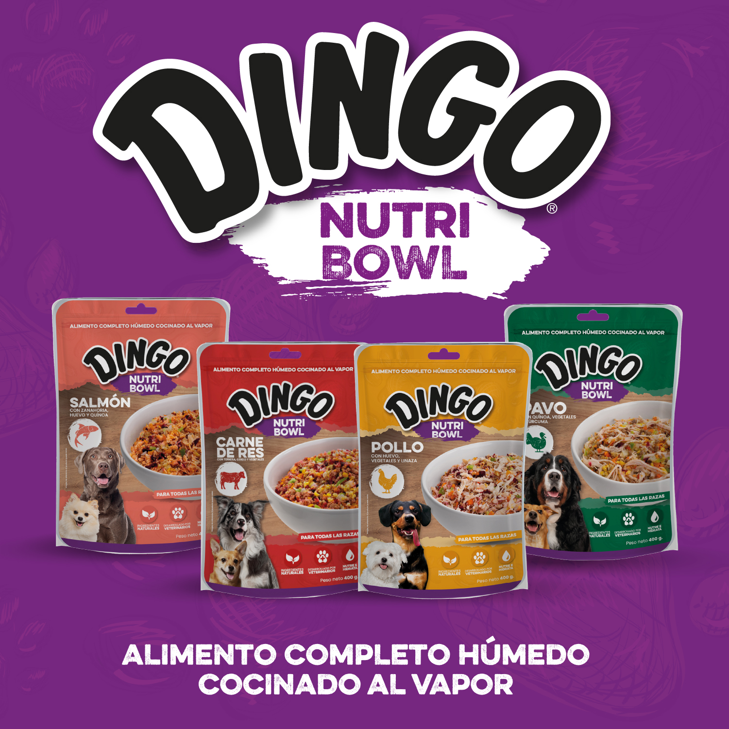 Dingo Nutribowl