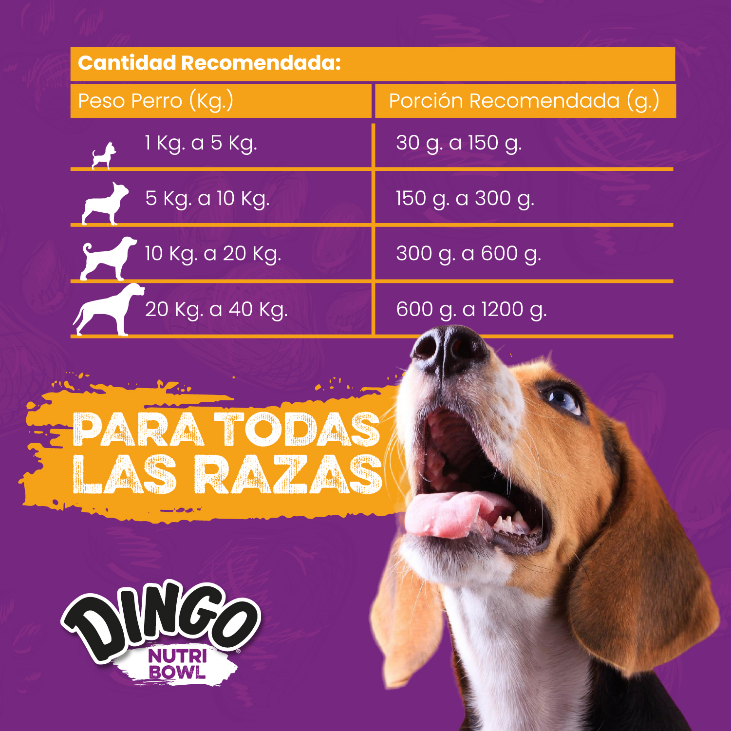 Para Todas Las Razas