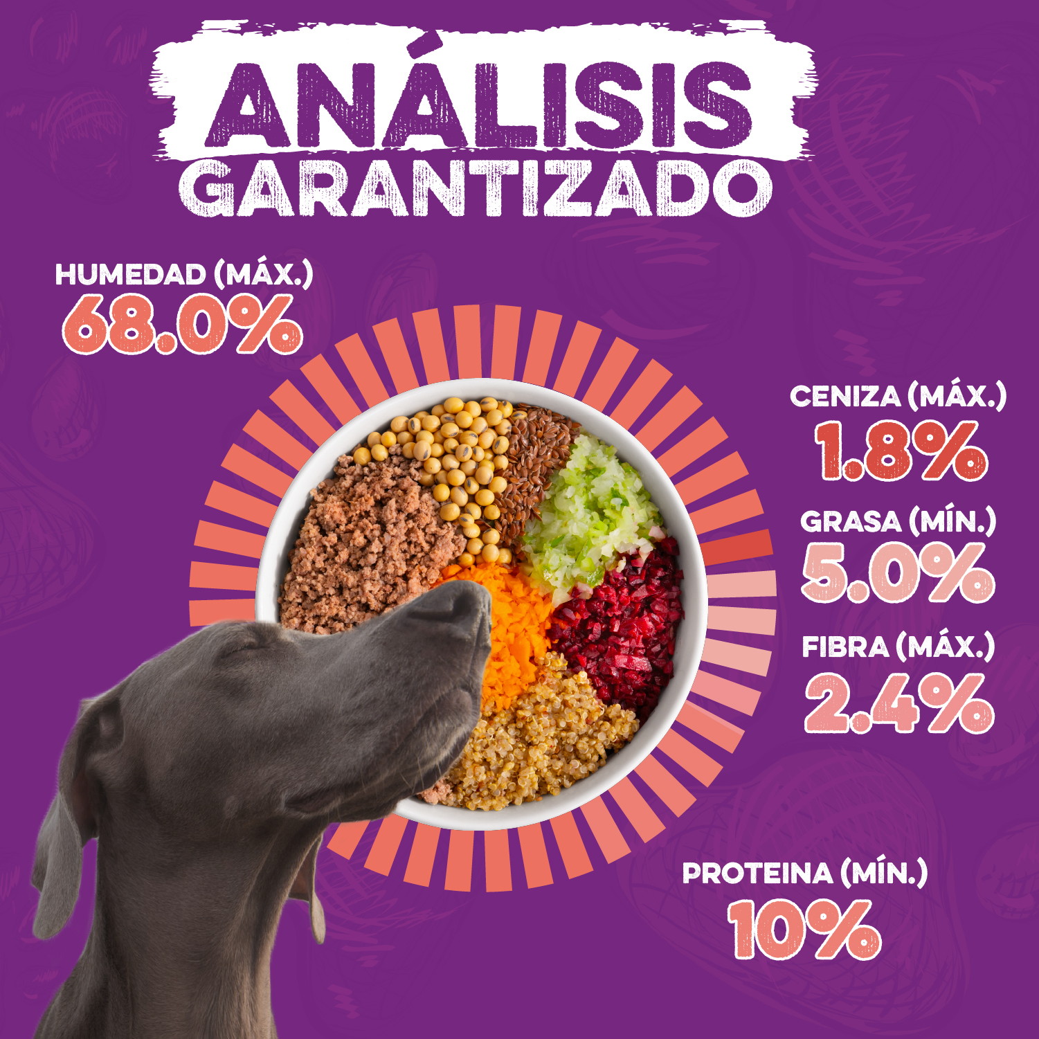 Analisis Garantizado