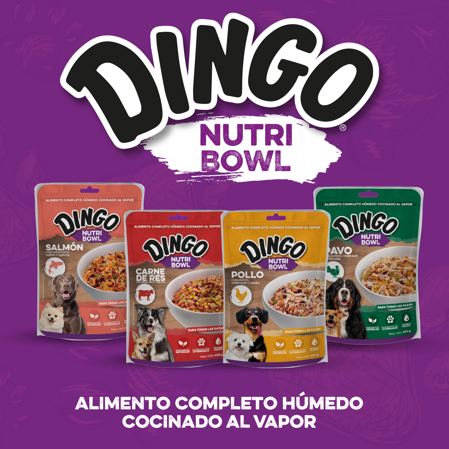 Dingo Nutri Bowl