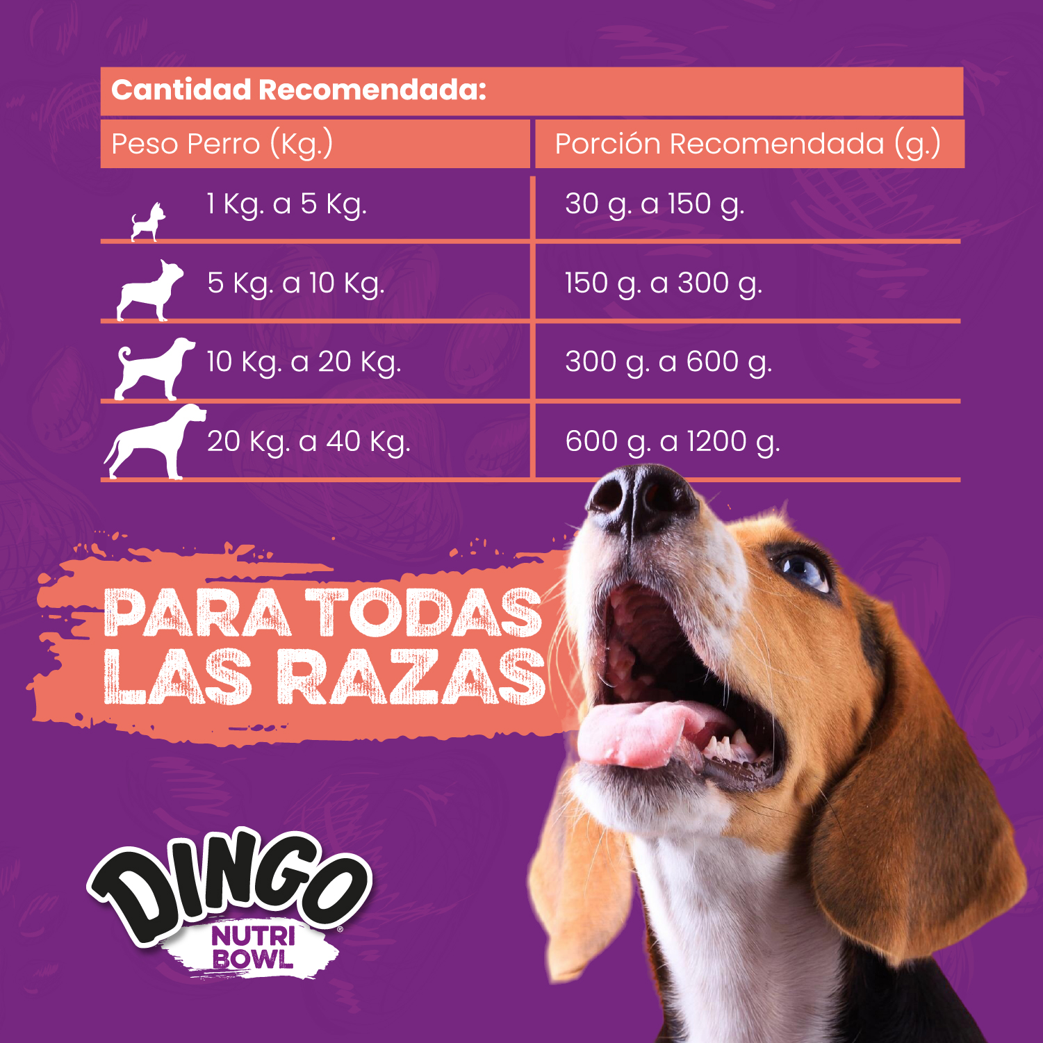 Para Todas Las Razas