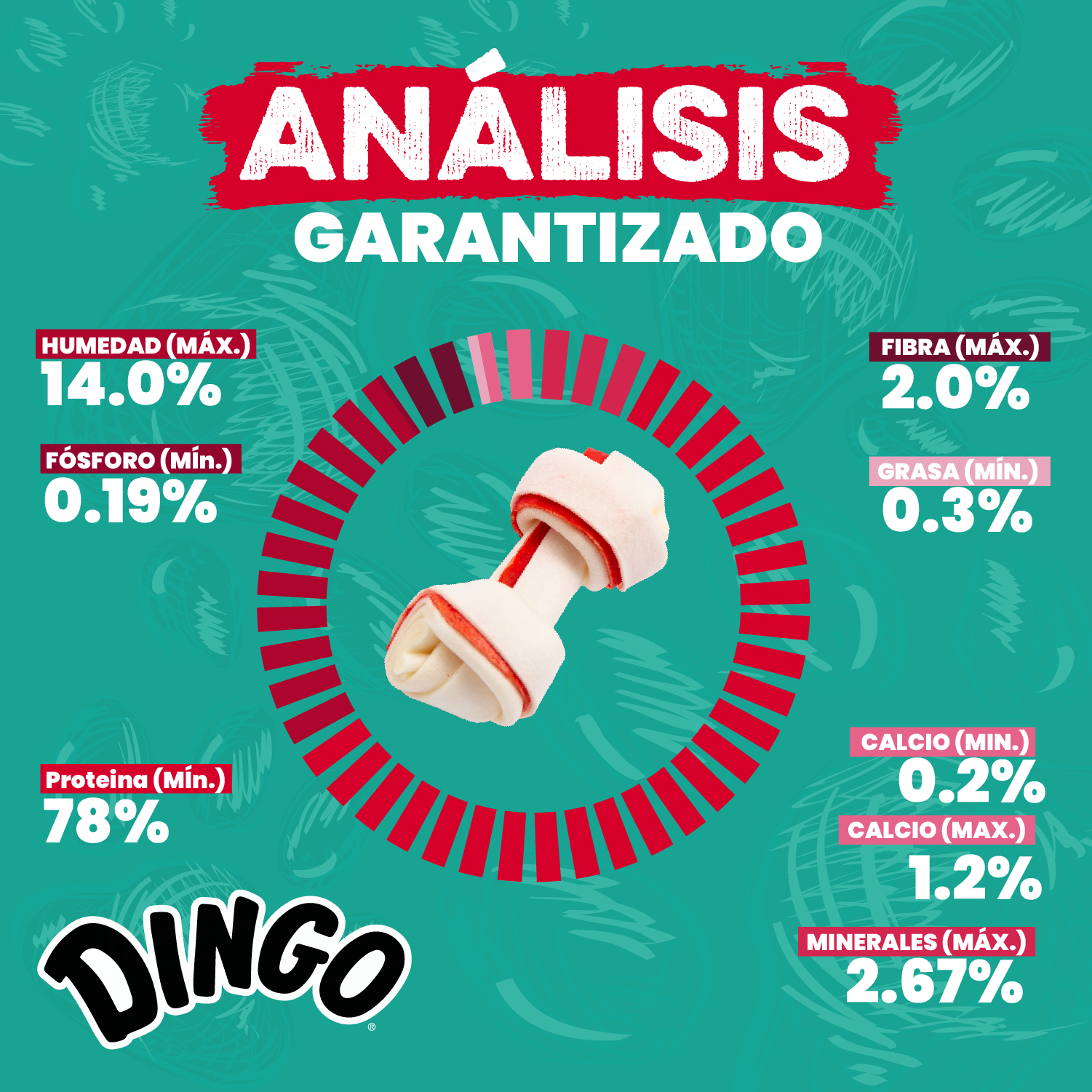 Dental Huesos Mini