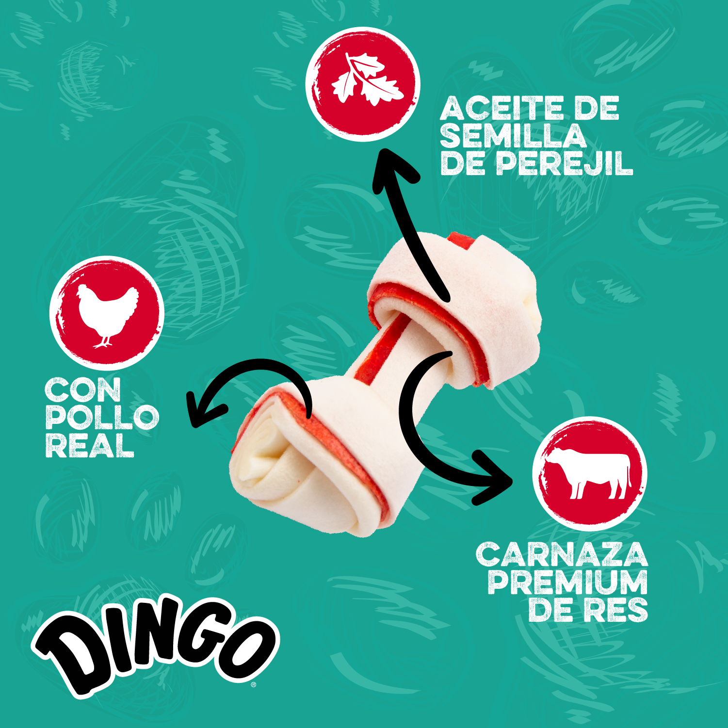 Dental Huesos Mini