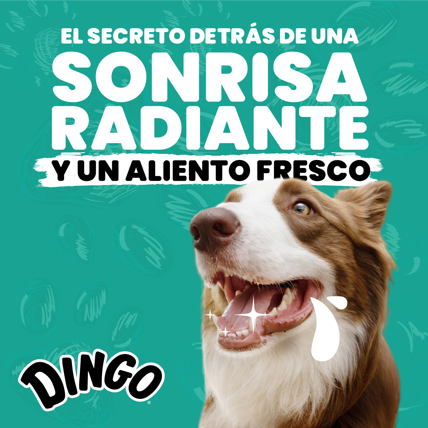 Sonrisa Radiante