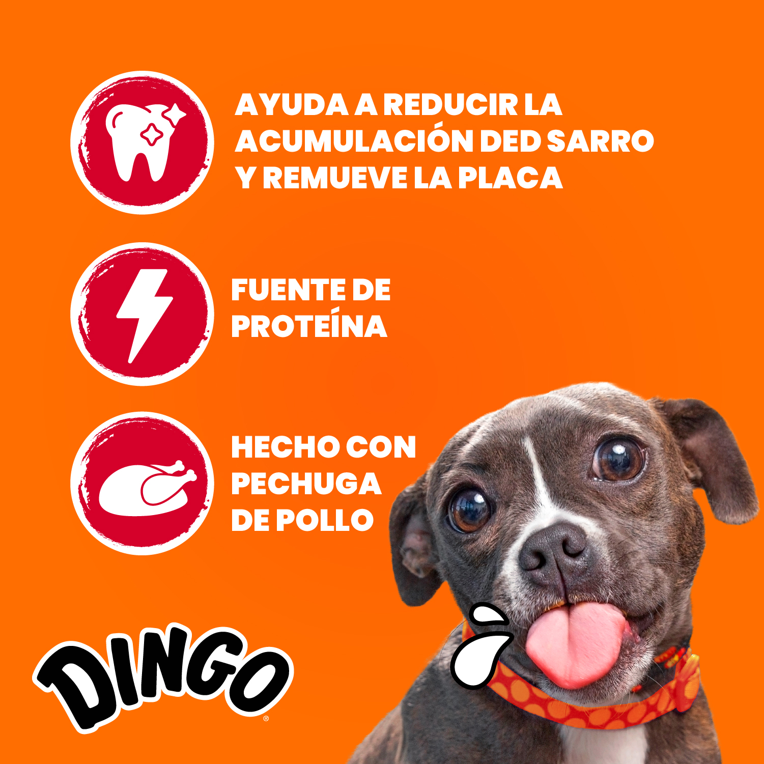 Perro