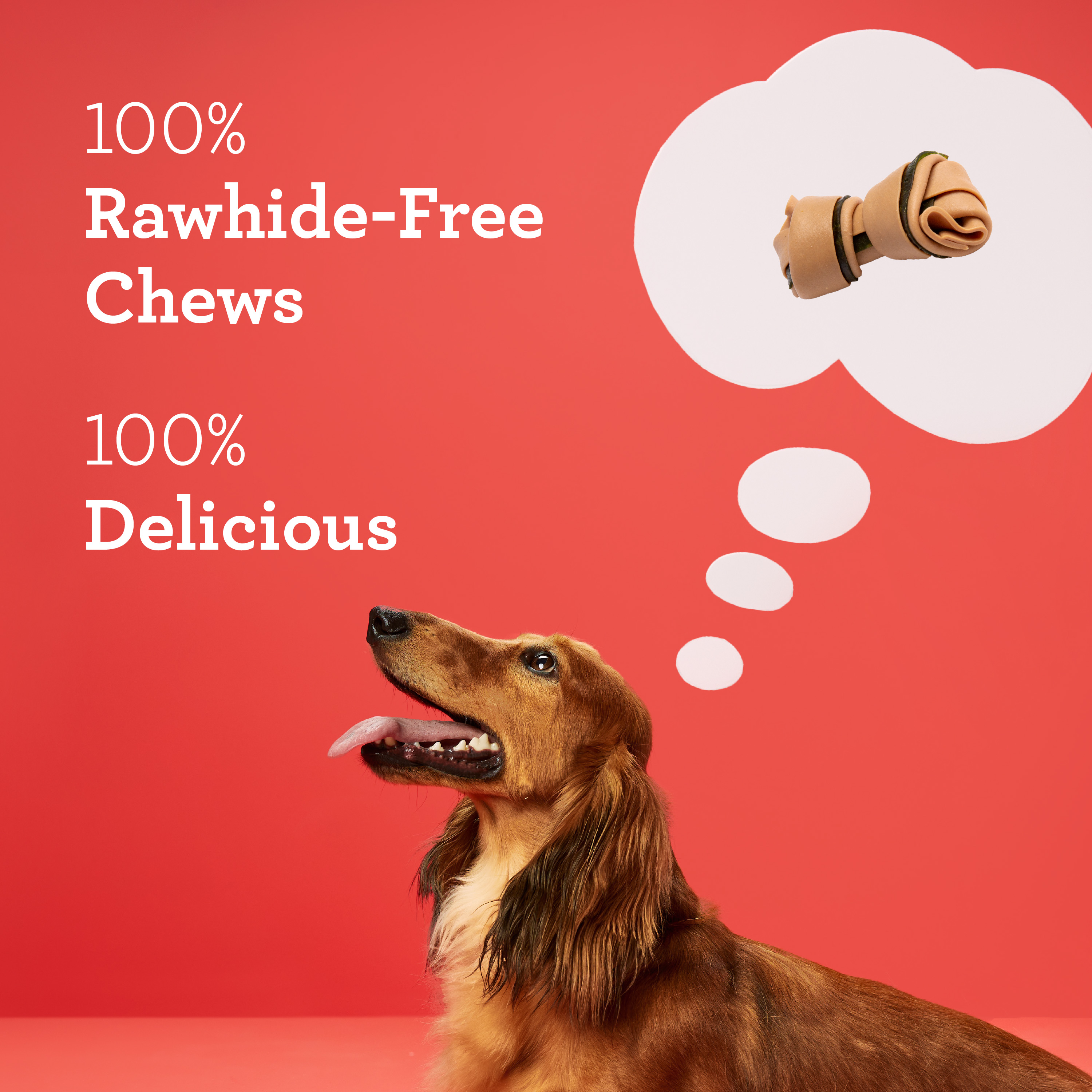 100% Rawhide-Free. 100% Delicious.
