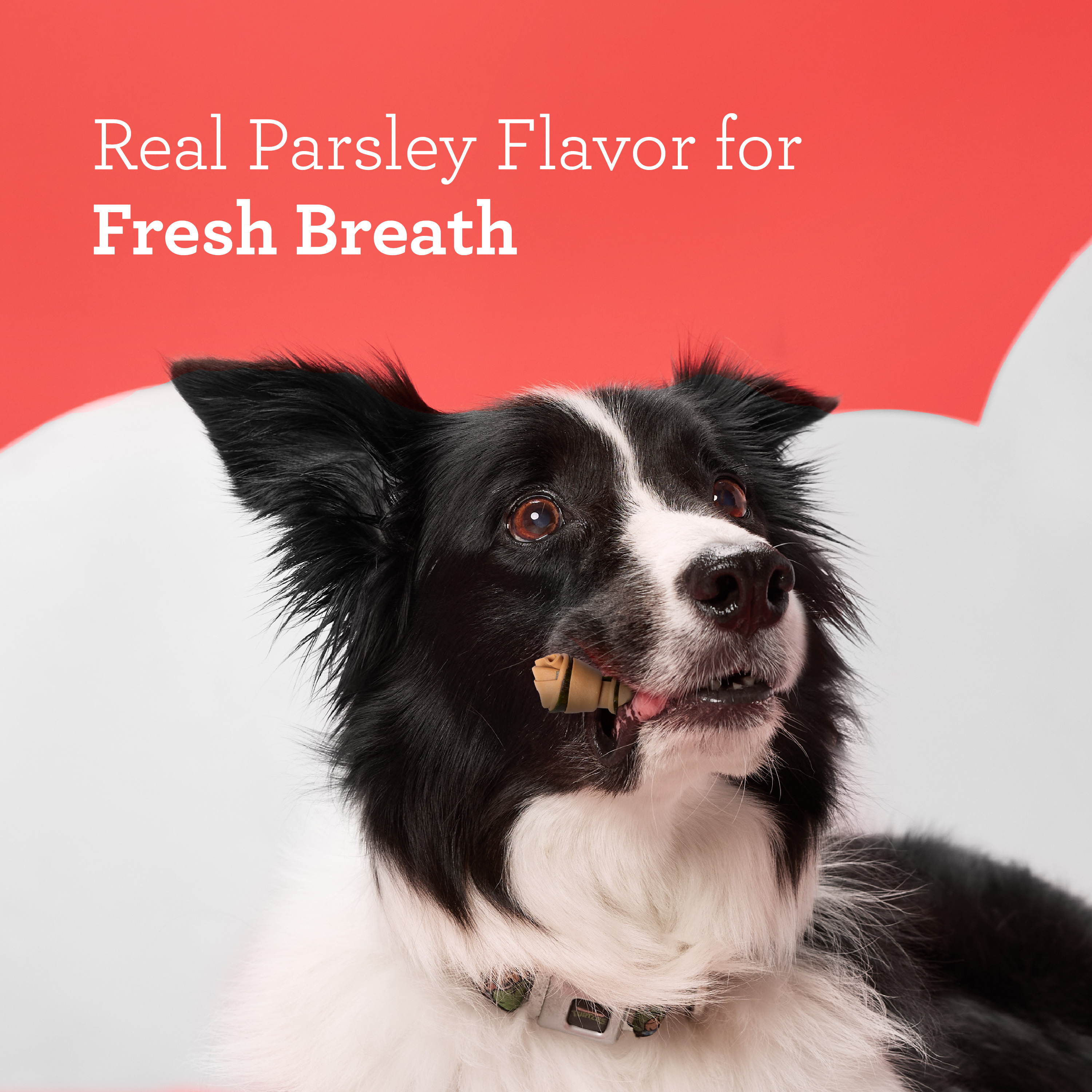 Real parsley flavor for fresh breath.