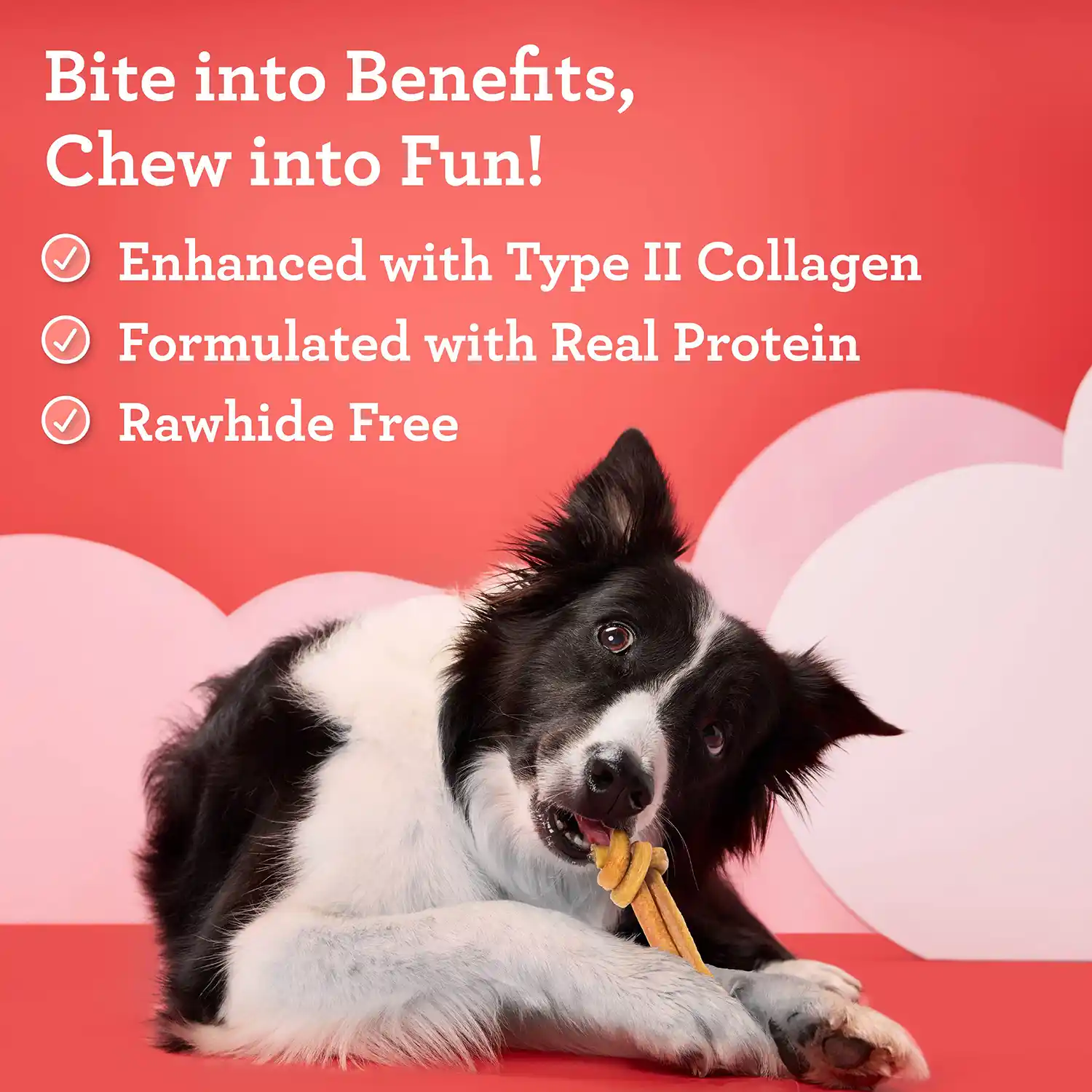 Bite into Benefits, Chew into Fun! • Enhanced with Type II Collagen • Formulated with Real Protein • Rawhide Free