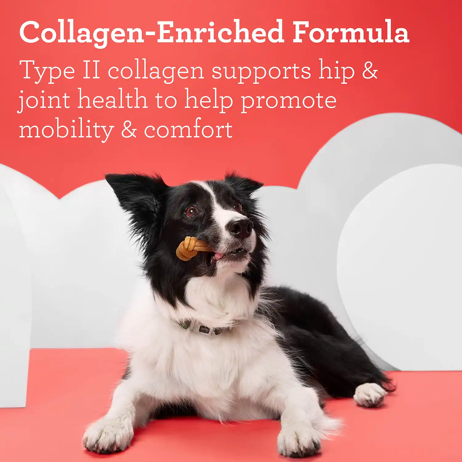 Collagen-Enriched Formula Type Il collagen supports hip & joint health to help promote mobility & comfort