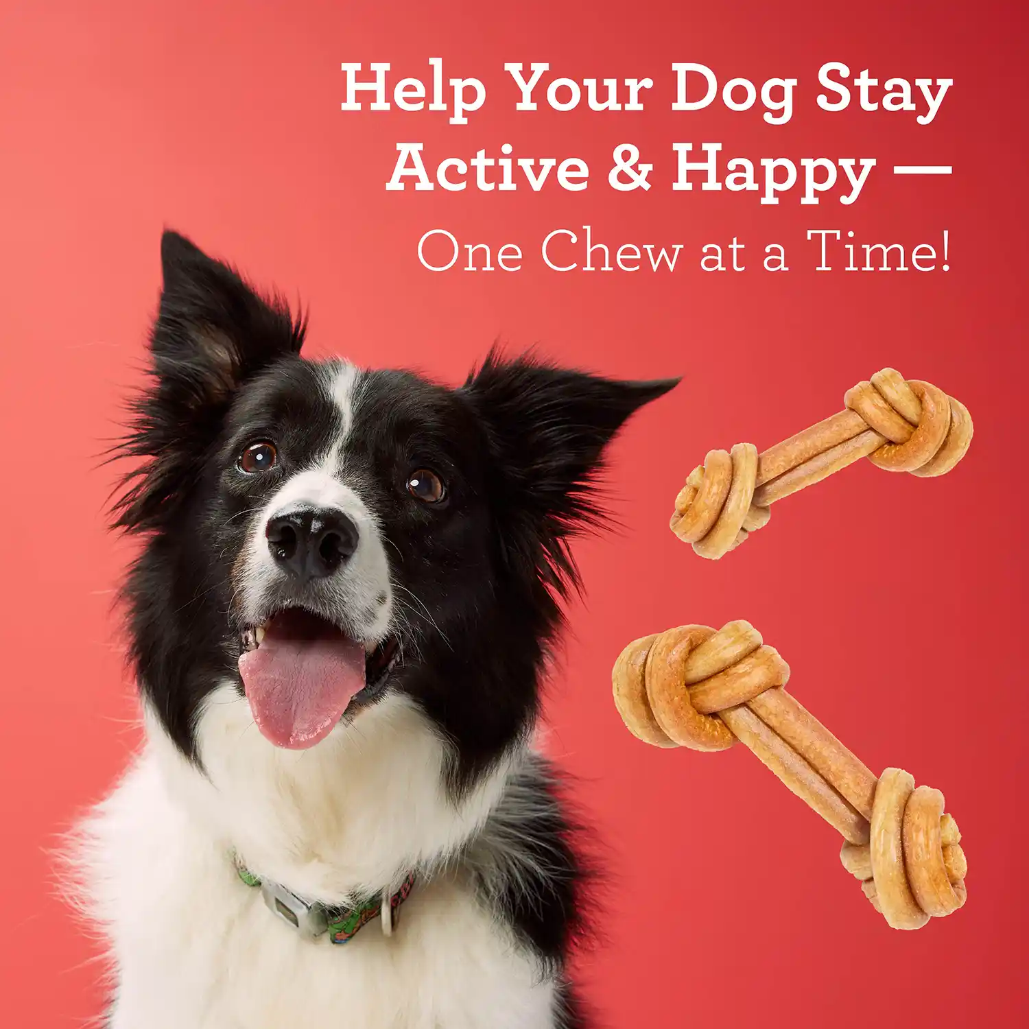 Help Your Dog Stay Active & Happy - One Chew at a Time!