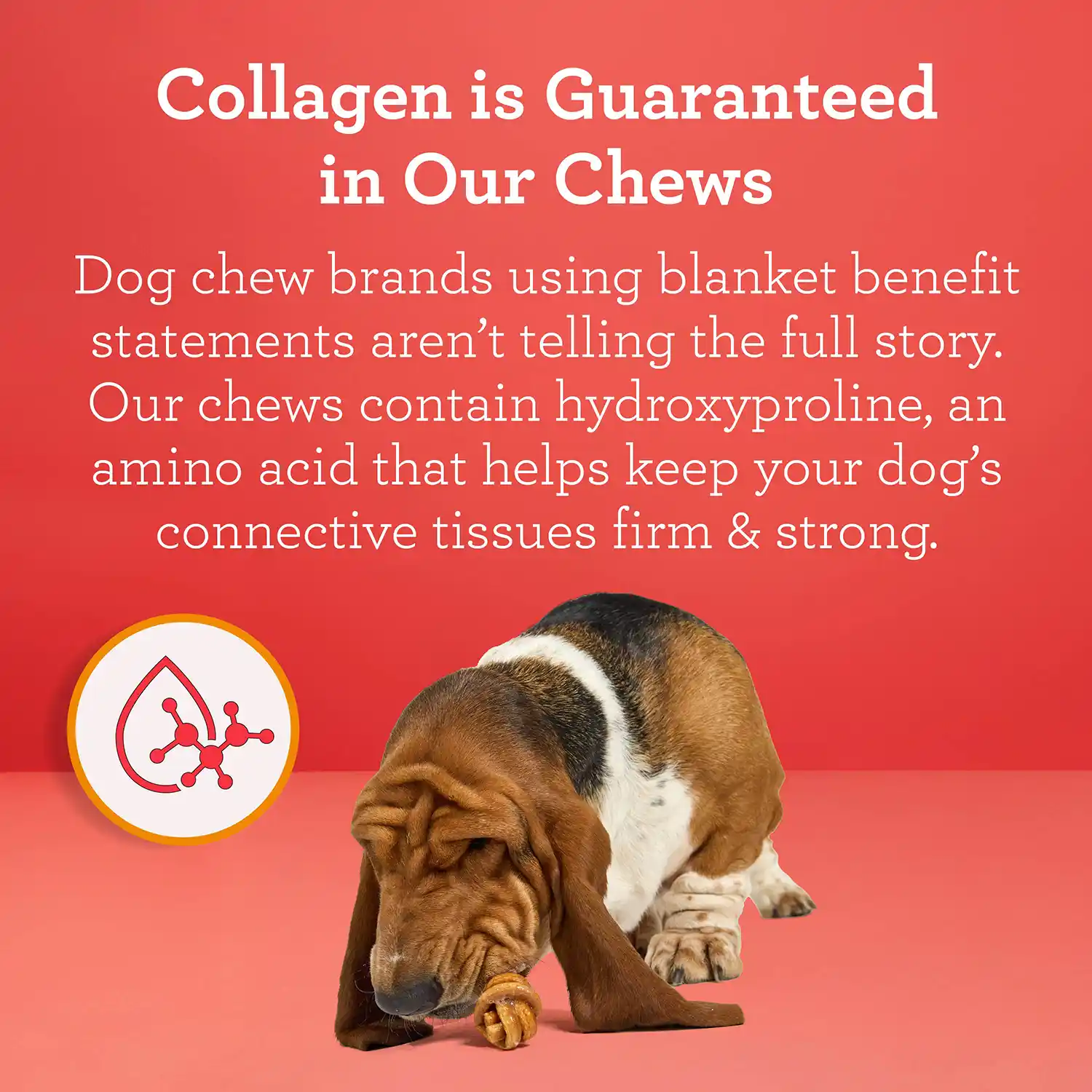 Collagen is Guaranteed in Our Chews Dog chew brands using blanket benefit statements aren't telling the full story. Our chews contain hydroxyproline, an amino acid that helps keep your dog's connective tissues firm & strong.