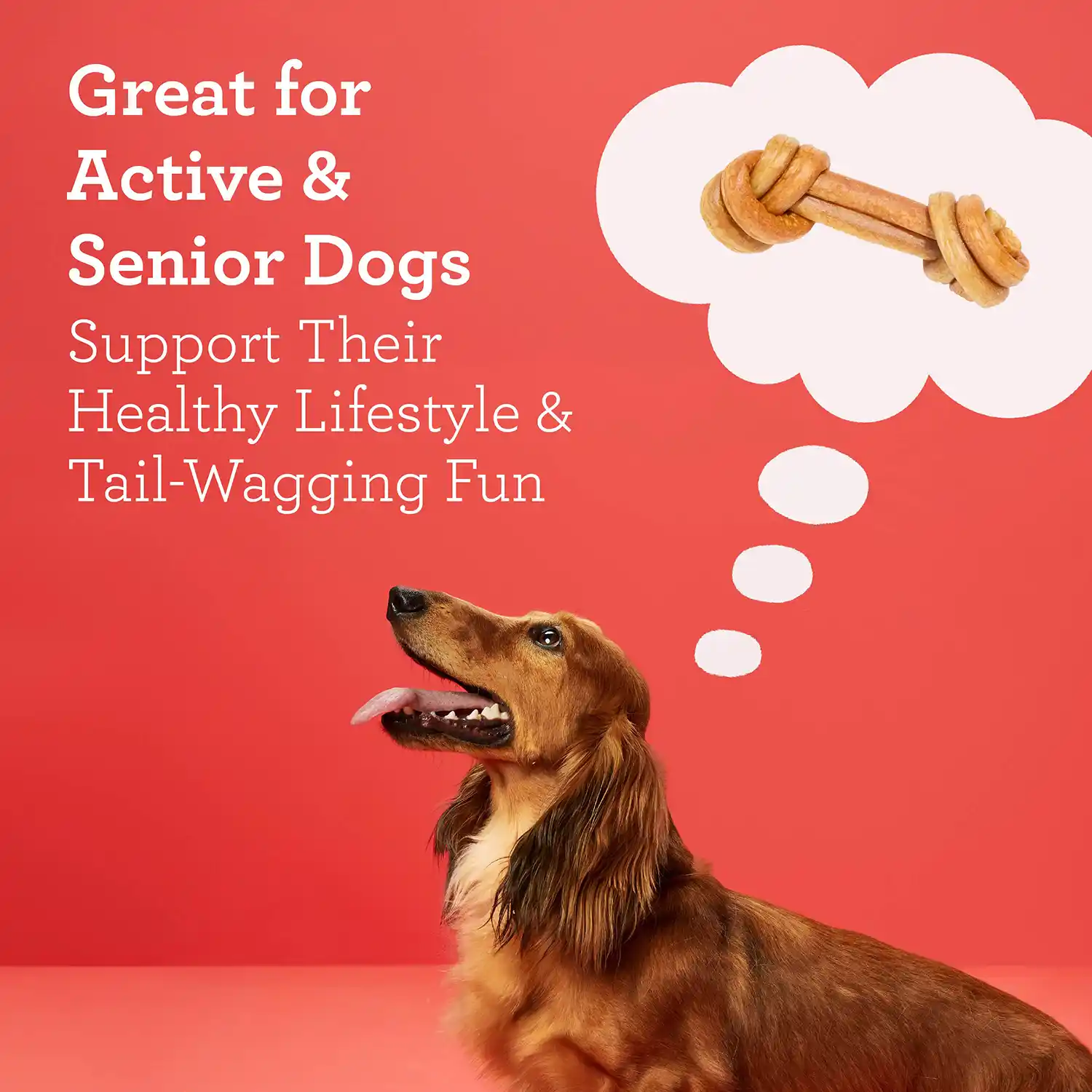 Great for Active & Senior Dogs Support Their Healthy Lifestyle & Tail-Wagging Fun