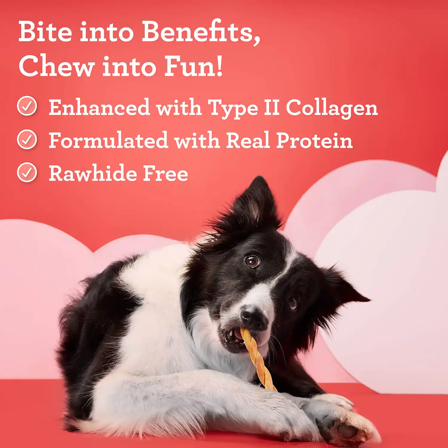 Bite into Benefits, Chew into Fun! • Enhanced with Type II Collagen • Formulated with Real Protein • Rawhide Free