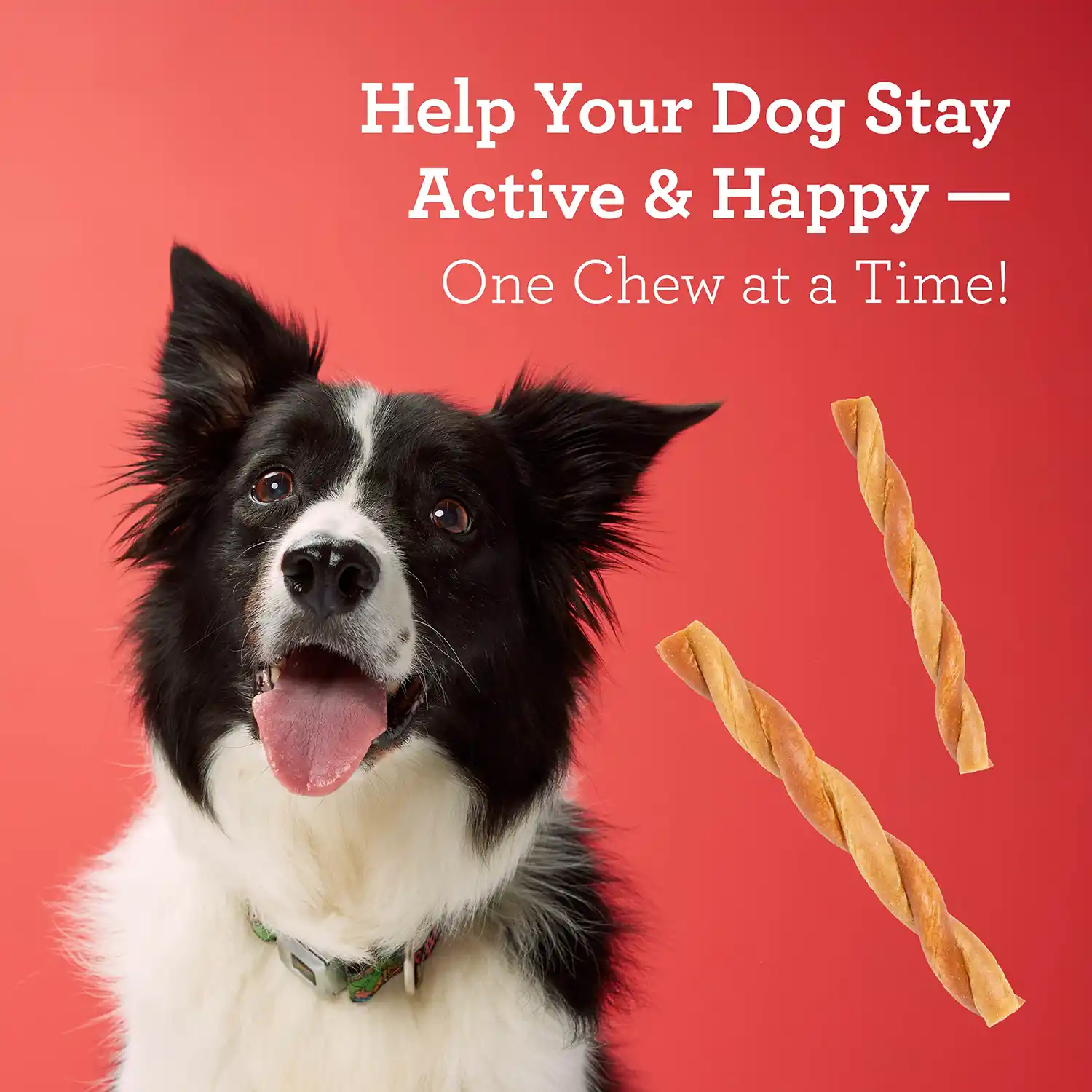 Help Your Dog Stay Active & Happy - One Chew at a Time!