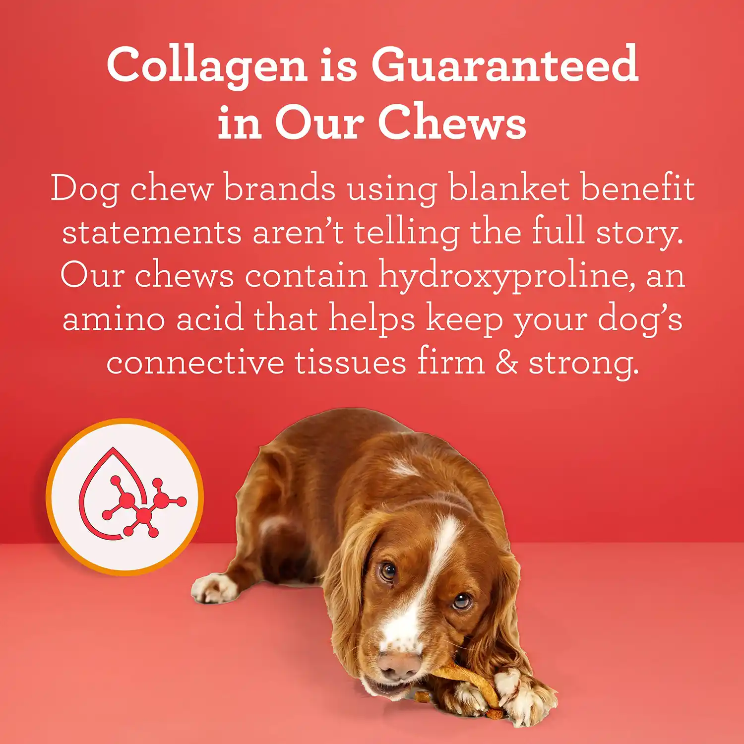 Collagen is Guaranteed in Our Chews Dog chew brands using blanket benefit statements aren't telling the full story. Our chews contain hydroxyproline, an amino acid that helps keep your dog's connective tissues firm & strong.