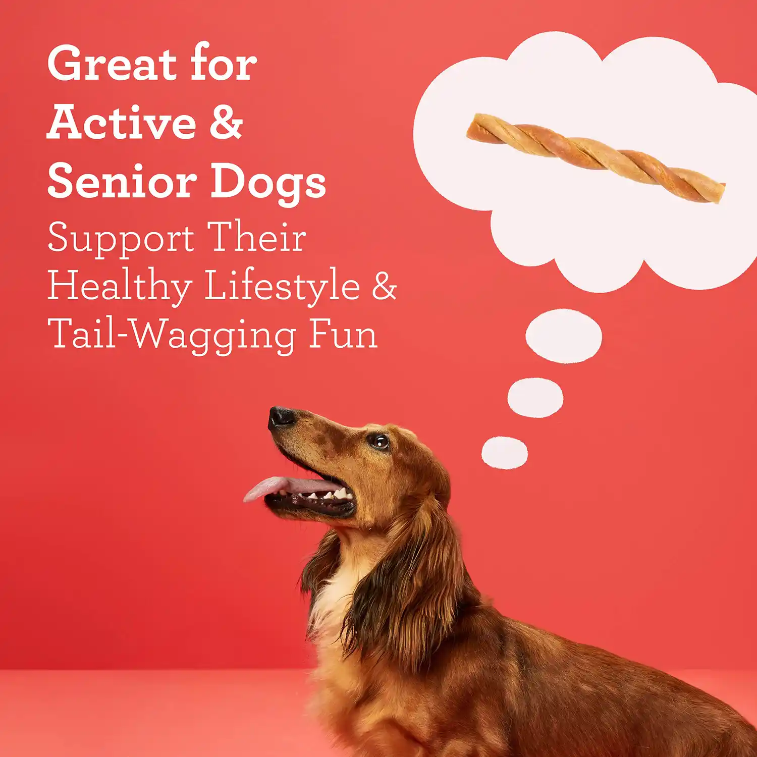 Great for Active & Senior Dogs Support Their Healthy Lifestyle & Tail-Wagging Fun