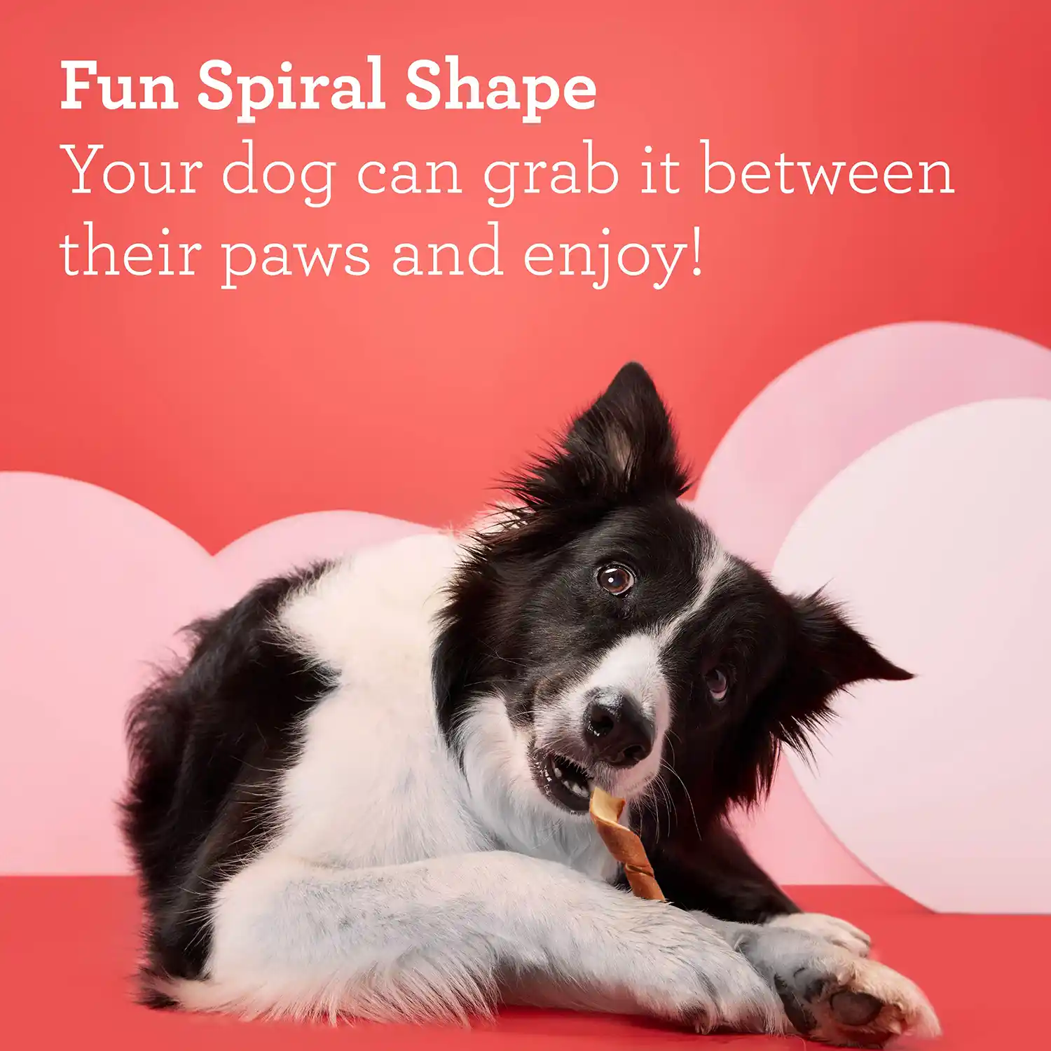 Fun Spiral Shape Your dog can grab it between their paws and enjoy!