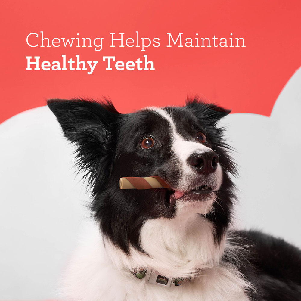 Chewing for Healthy Teeth