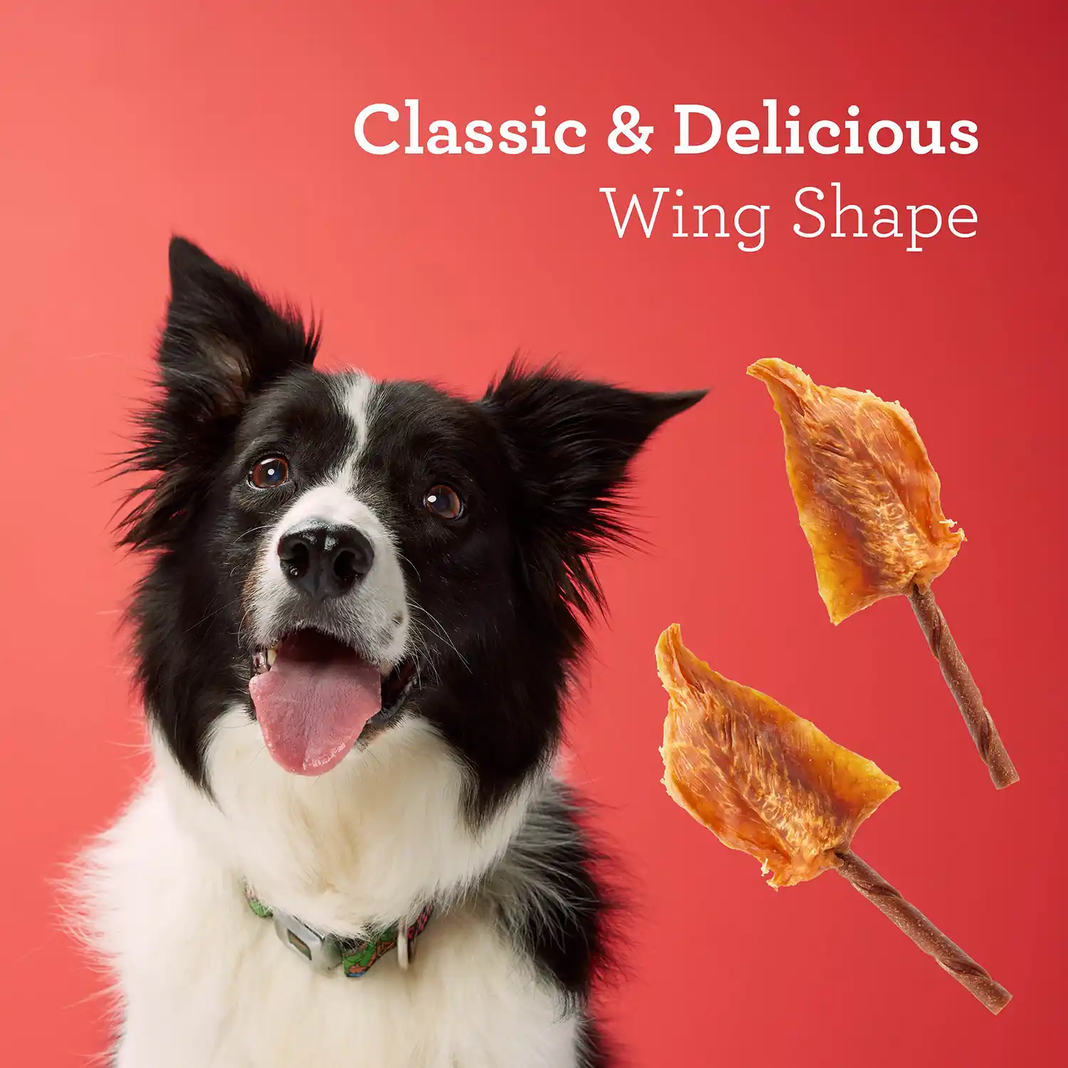 Classic & Delicious Wing Shape