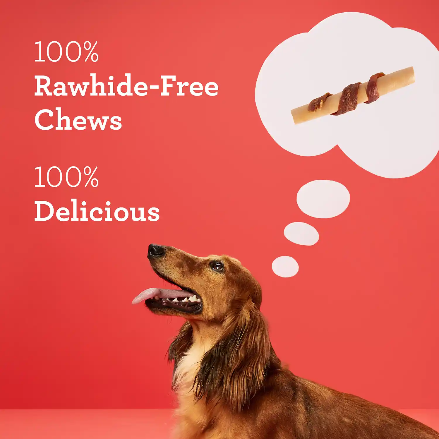 100% Rawhide-Free Chews 100% Delicious