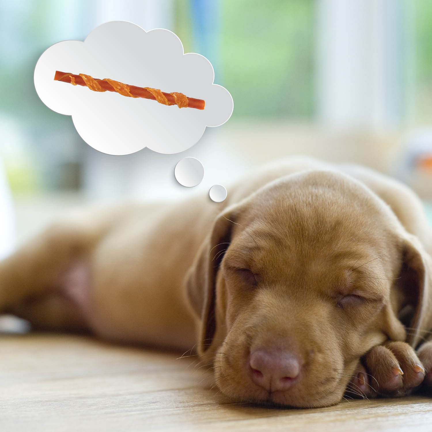 DBSR-00870 Chicken Wrapped Twists with Real Sirloin 15 ct Puppy Dreaming