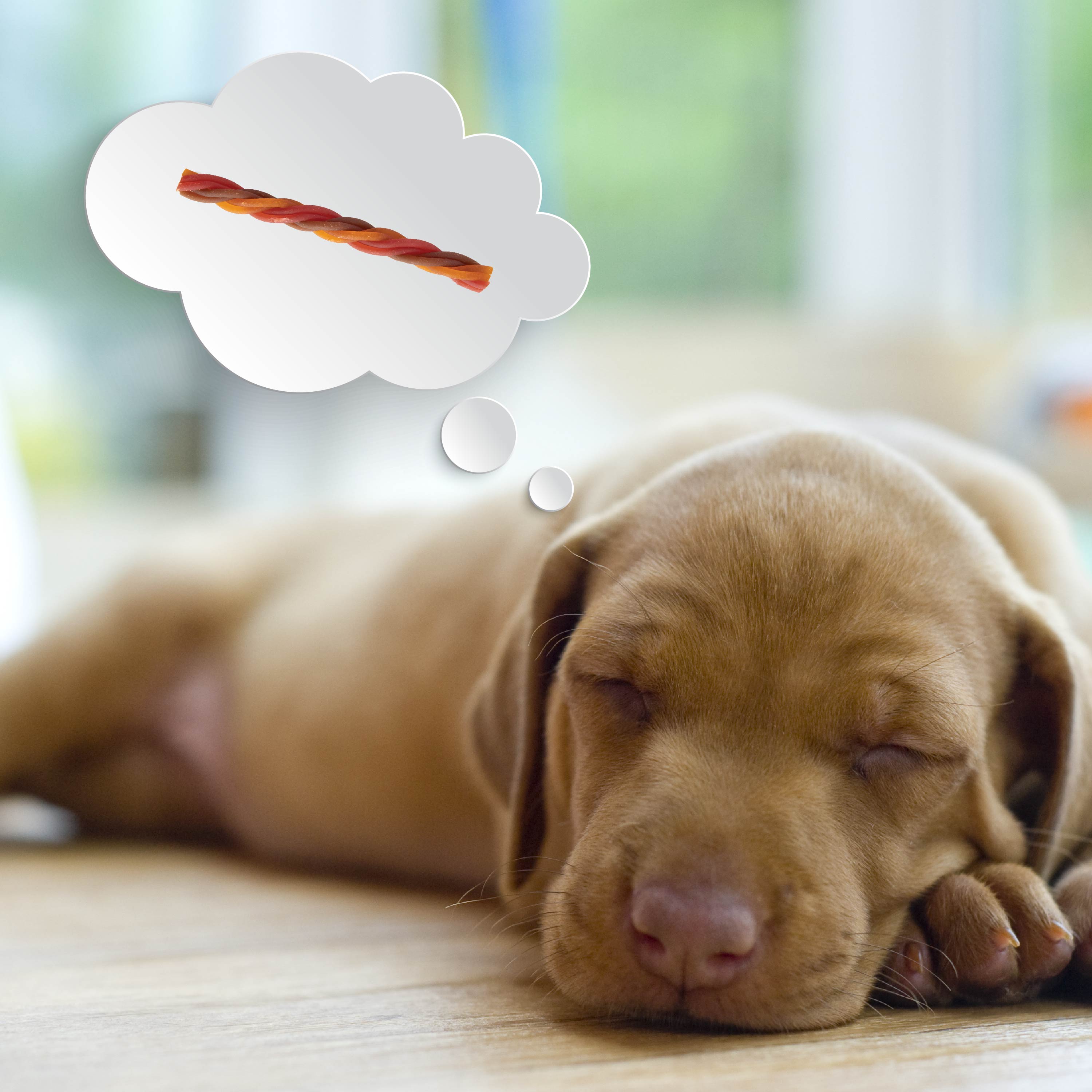 DBTT00946_08_Lifestyle