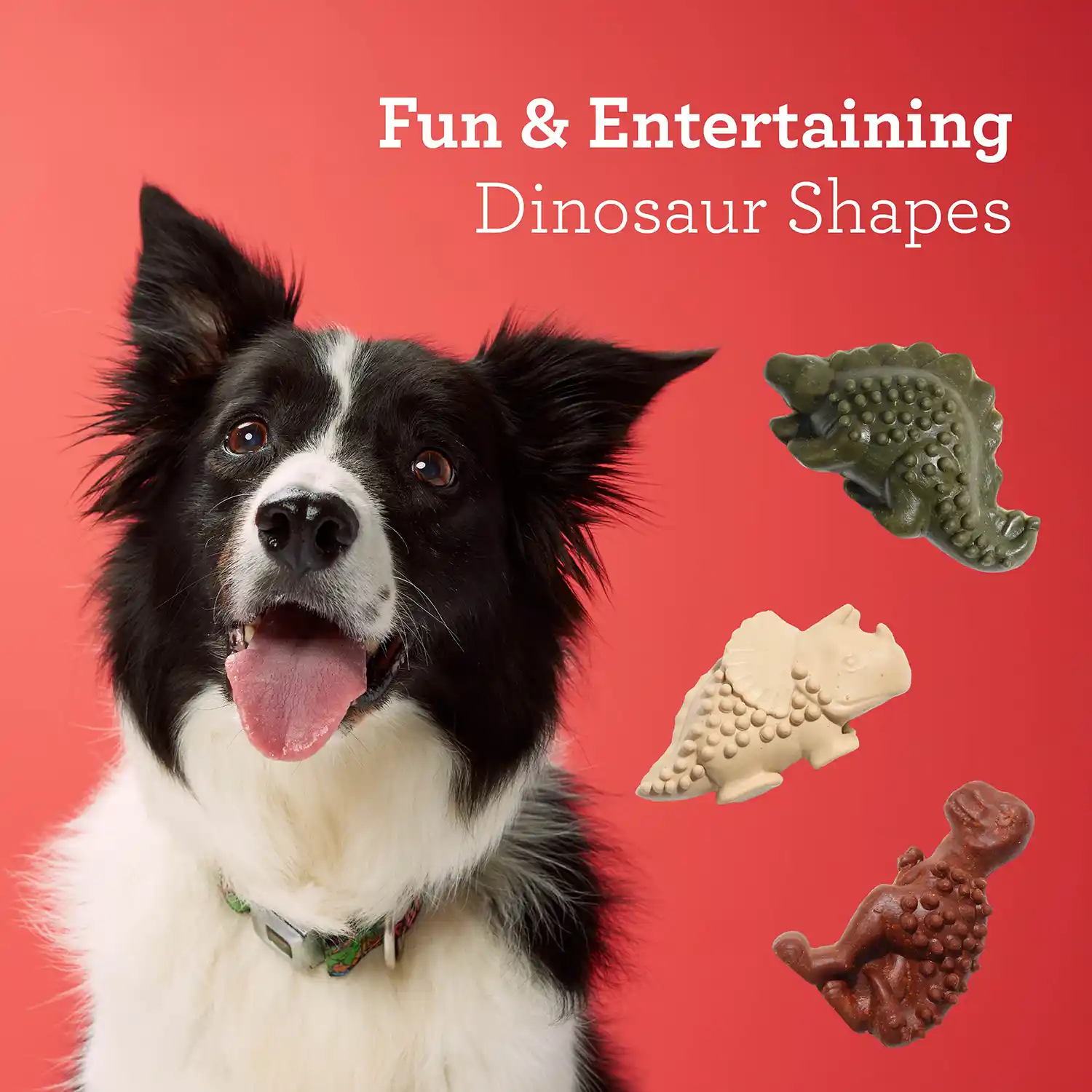 Fun & Entertaining Dinosaur Shapes