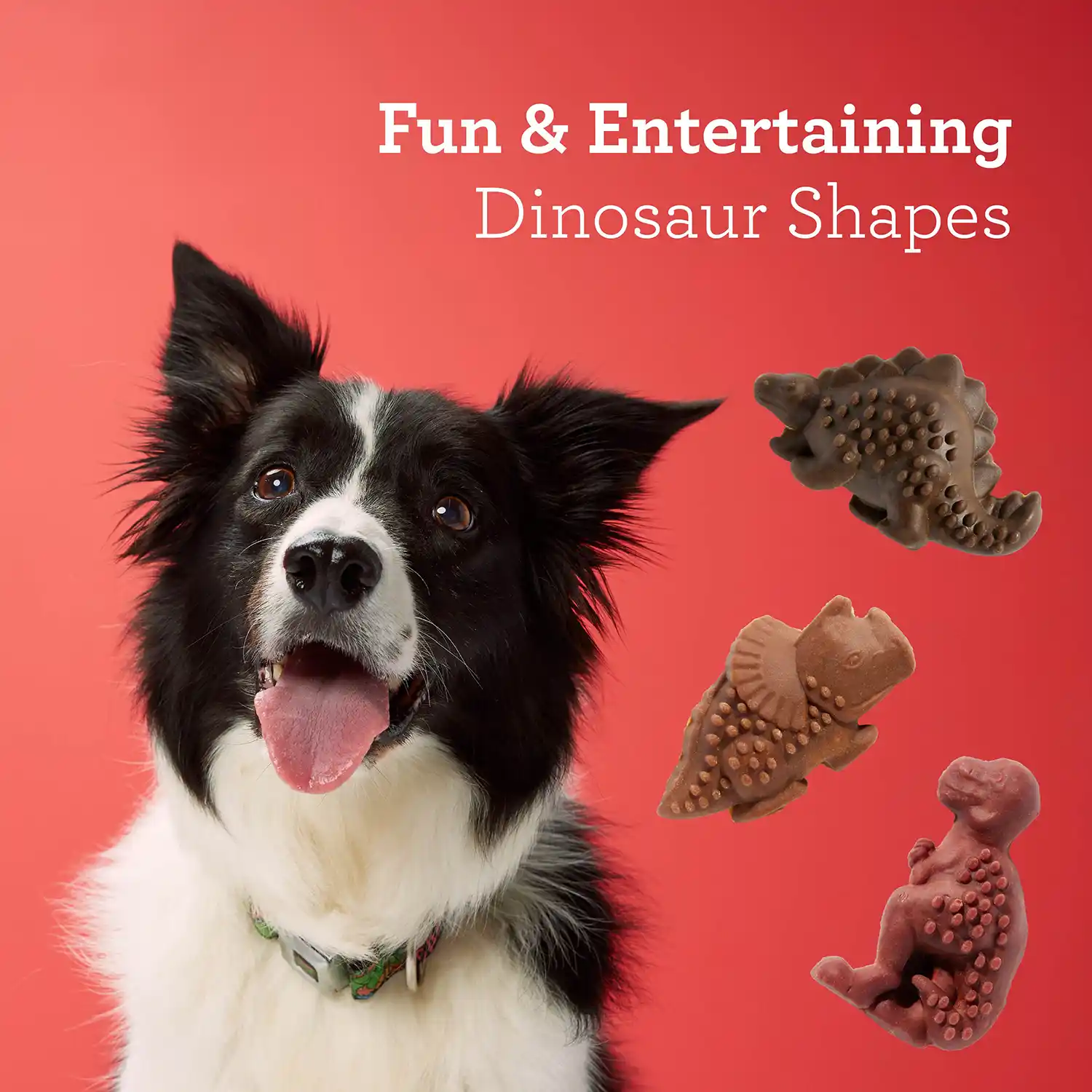 Fun & Entertaining Dinosaur Shapes