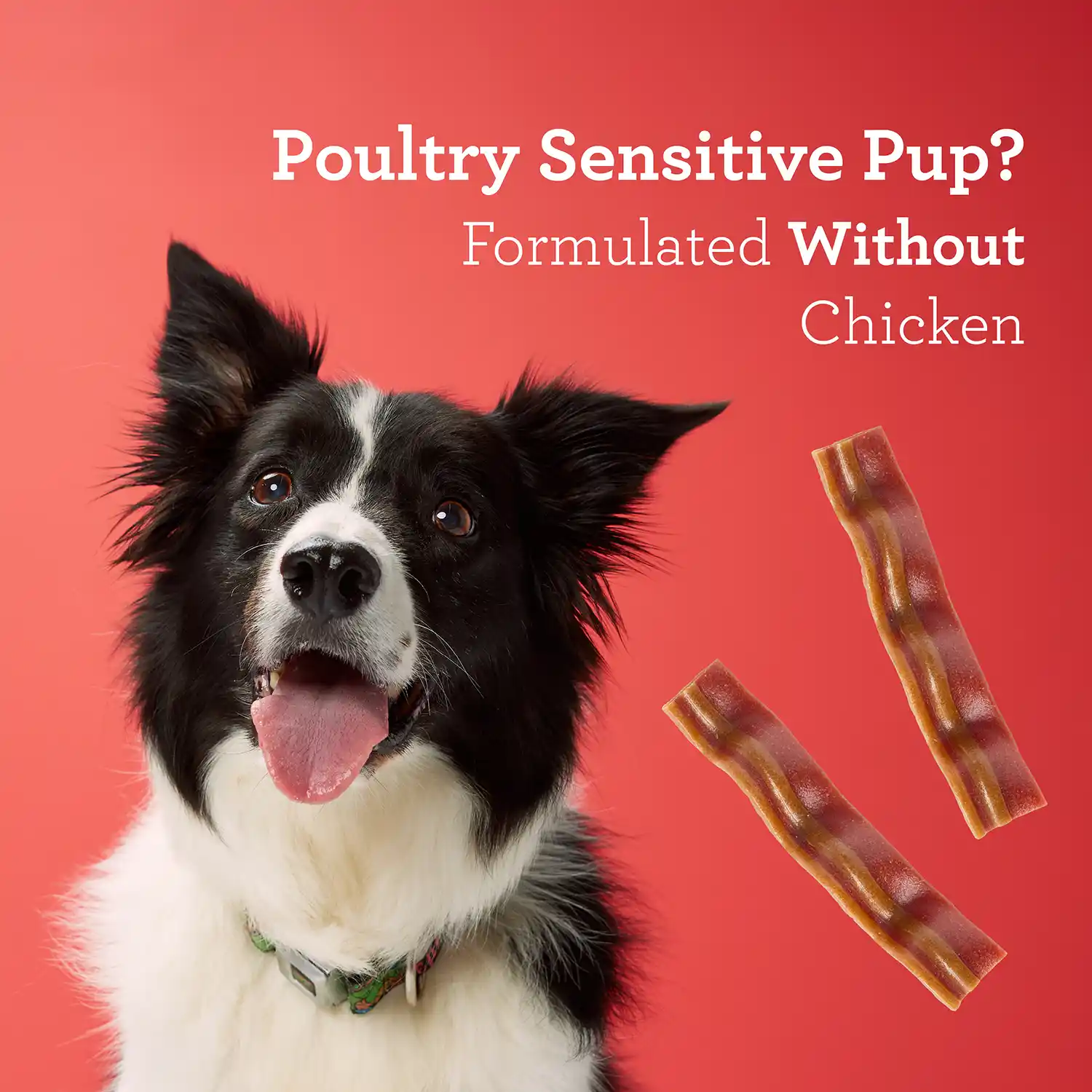 Poultry Sensitive Pup? Formulated Without Chicken