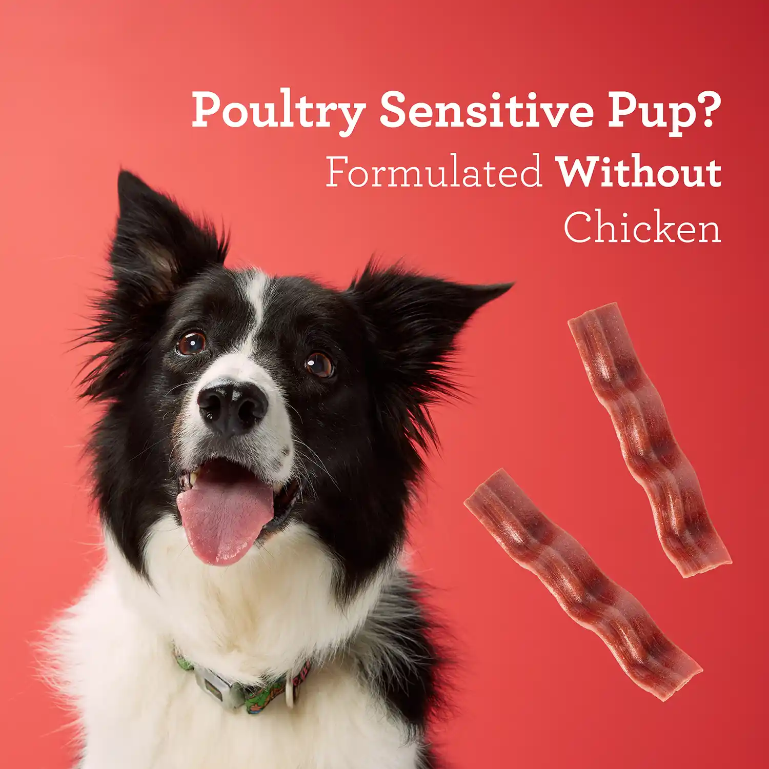Poultry Sensitive Pup? Formulated Without Chicken