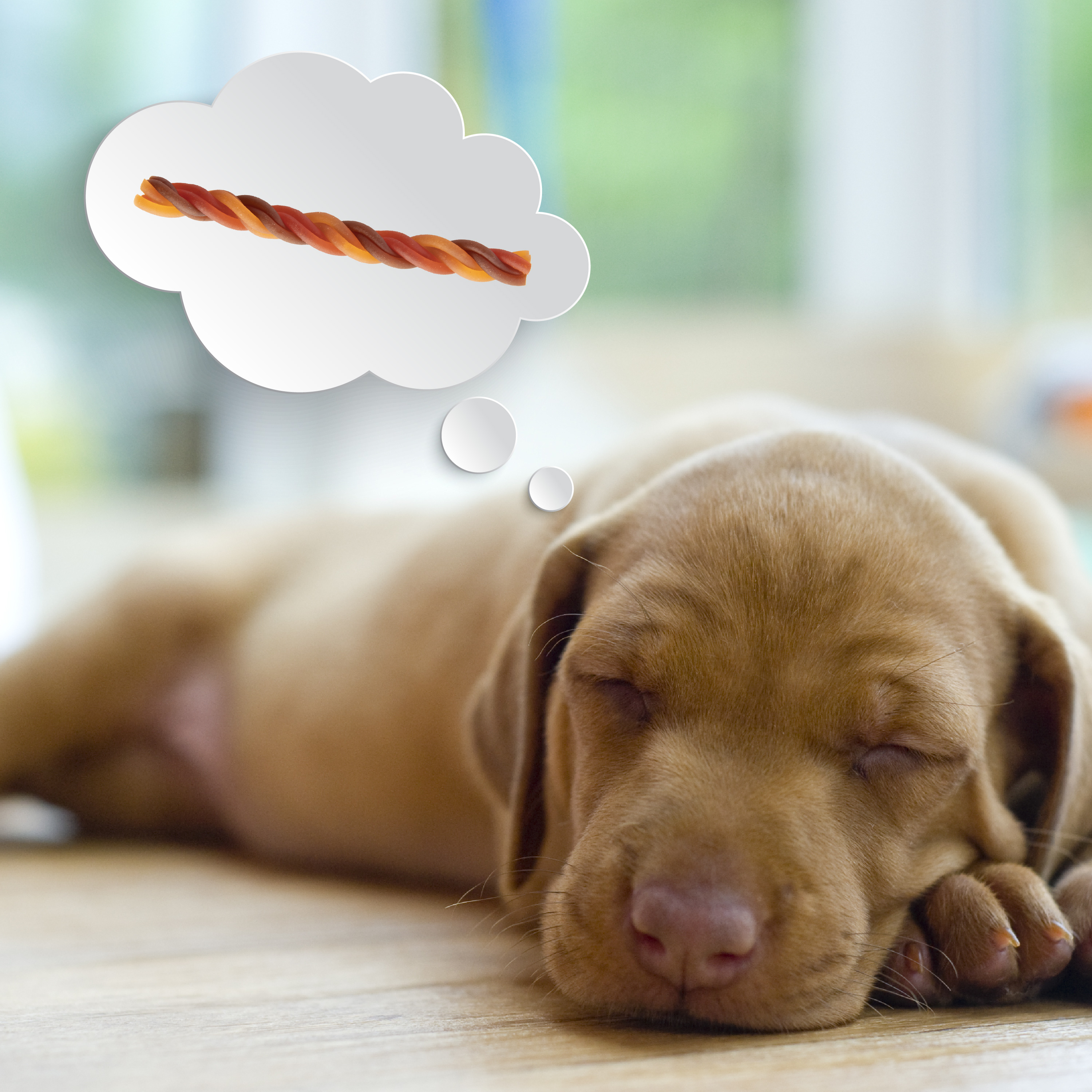 DBPB00951T Lifestyle