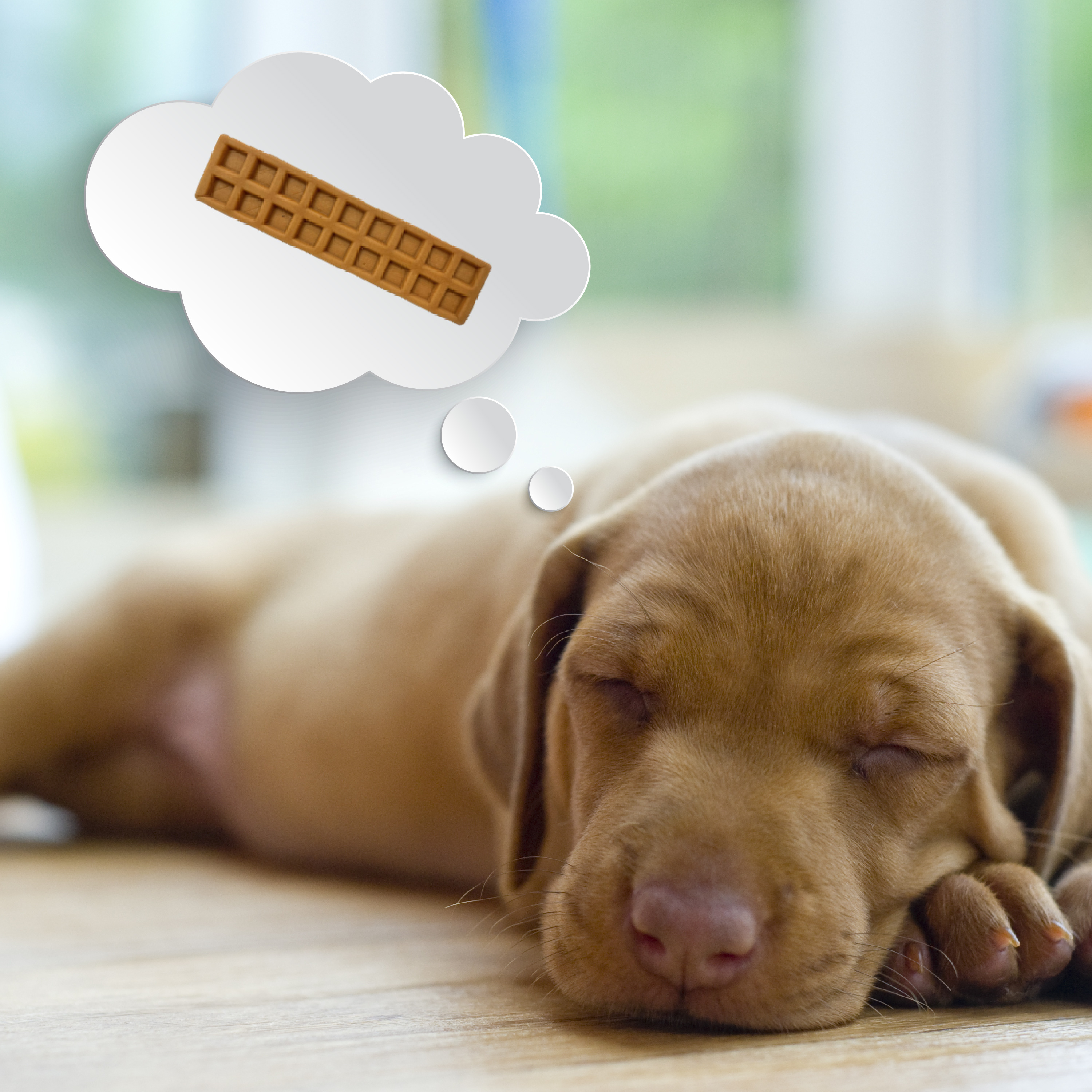 DBPB00939T Lifestyle