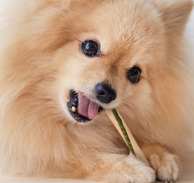 promesa de calidad_resize