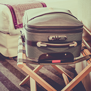 Thumbnail for article: Don't bring home bed bugs this summer