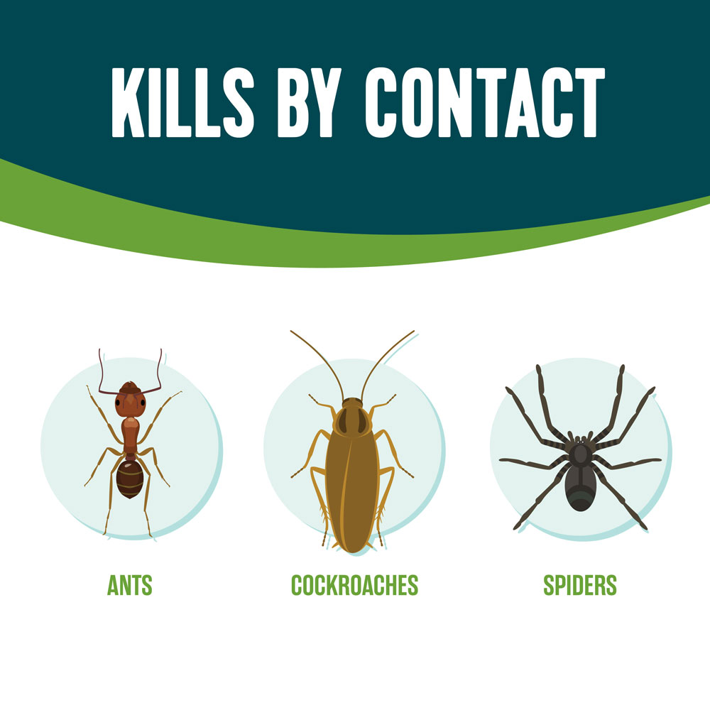 HG-75028 Ecologic Ant & Roach Killer2, 14 Ounces, Aerosol Formula - Kills by Contact