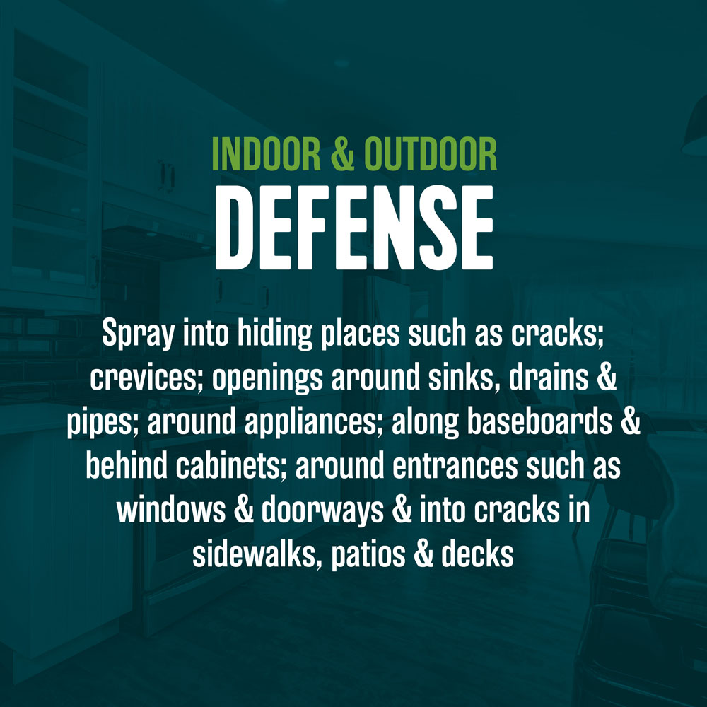 HG-75028 Ecologic Ant & Roach Killer2, 14 Ounces, Aerosol Formula - Indoor Outdoor Defense