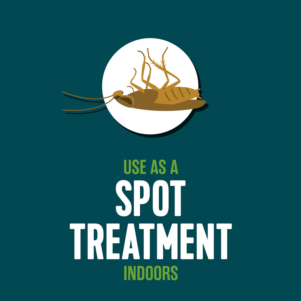 HG-75028 Ecologic Ant & Roach Killer2, 14 Ounces, Aerosol Formula - Use as a Spot Treatment