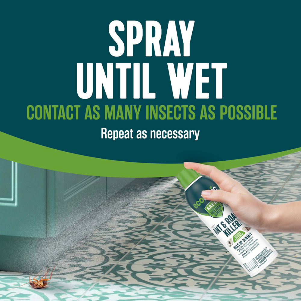 HG-75028 Ecologic Ant & Roach Killer2, 14 Ounces, Aerosol Formula - Spray Until Wet