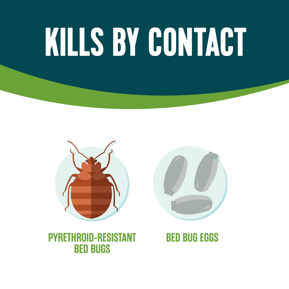 HG-75030 Ecologic Bed Bug Killer Aerosol2, 14 Ounces, Aerosol Formula Made With Lemongrass Oil And Cornmint Oil - Kills By Contact