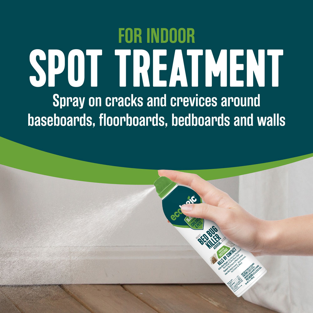 HG-75030 Ecologic Bed Bug Killer Aerosol2, 14 Ounces, Aerosol Formula Made With Lemongrass Oil And Cornmint Oil - For Indoor Spot Treatment
