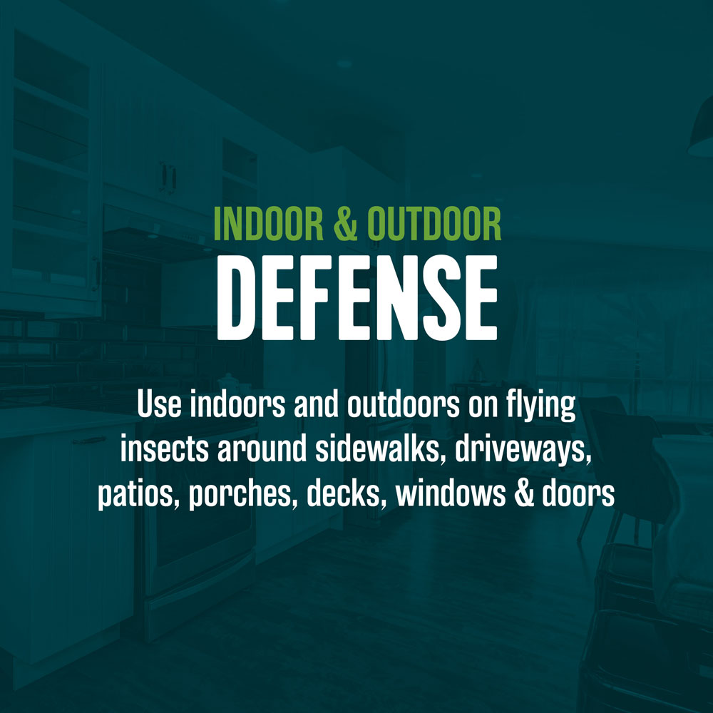 HG-75029 Ecologic Flying Insect Killer2, 14 Ounces, Aerosol Formula - Indoor Outdoor Defense