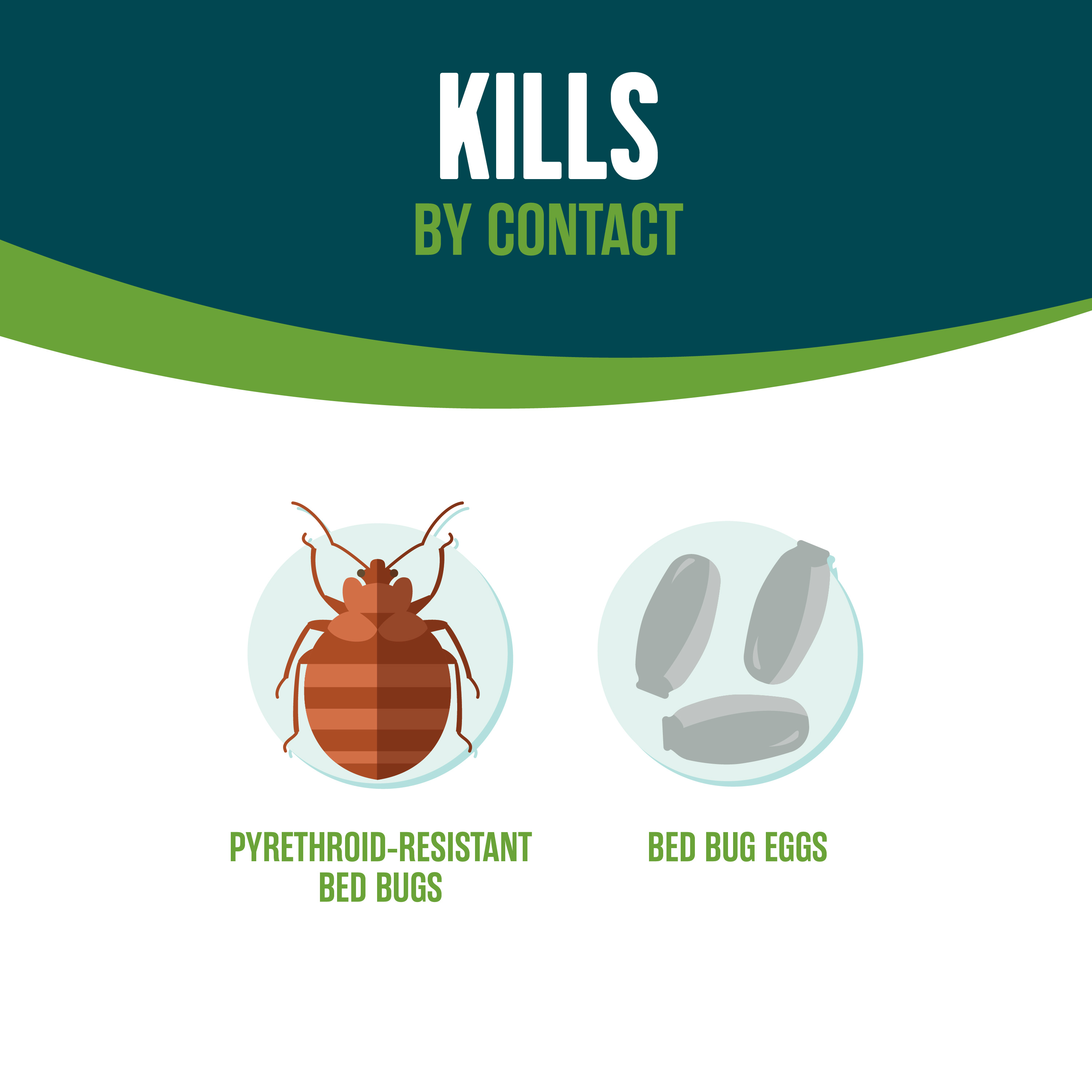 EcoLogic Bed Bug Killer Kills by Contact