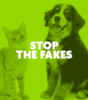 Stop the Fakes