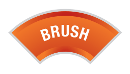 Brush